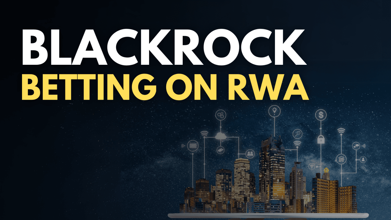 BlackRock mở rộng quỹ BUIDL sang 5 blockchain mới ngoài Ethereum!