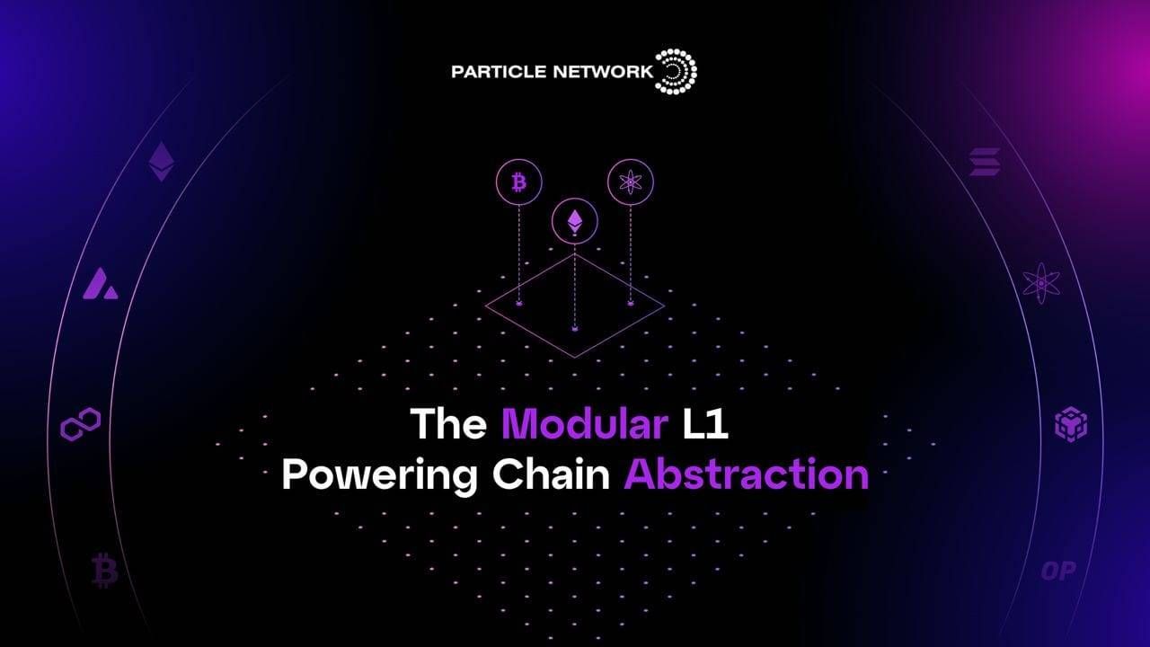 Particle Network là blockchain Layer 1 thiết kế theo mô hình Modular Blockchain