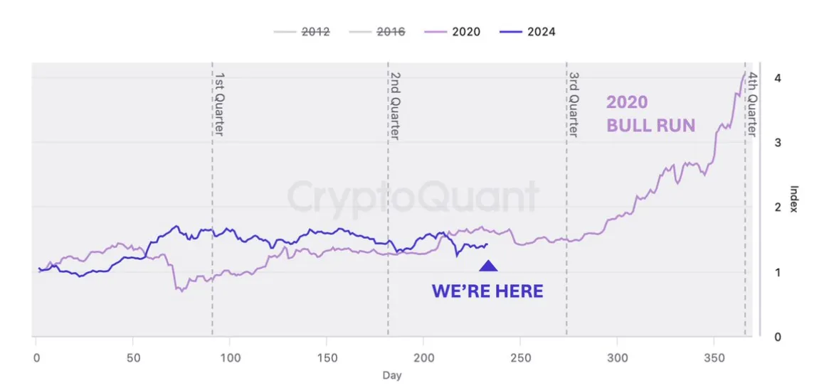 Bitcoin: Cumulative return index on halving years (nguồn: CryptoQuant)