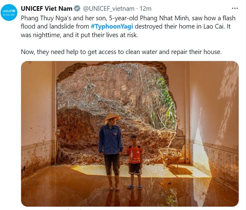 Các tổn thất về bão Yagi tại Việt Nam - nguồn: UNICEF Việt Nam