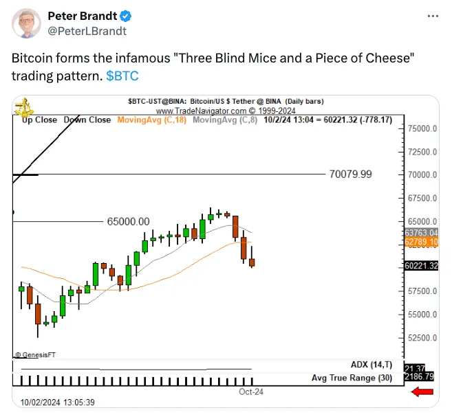 Bài đăng phân tích về giá BTC của nhà giao dịch nổi tiếng Peter Brandt