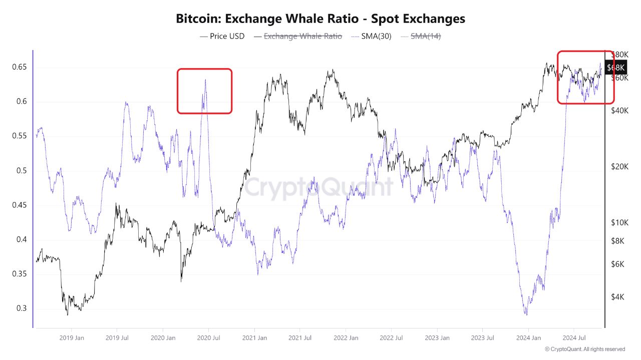 Tỷ lệ cá voi Bitcoin trên các sàn giao dịch - nguồn: CryptoQuant