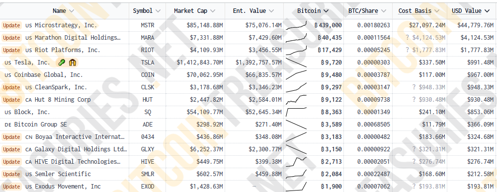 Bảng xếp hạng các công ty đại chúng nắm giữ nhiều BTC nhất trên thế giới hiện nay - nguồn: Bitcoin Treasuries