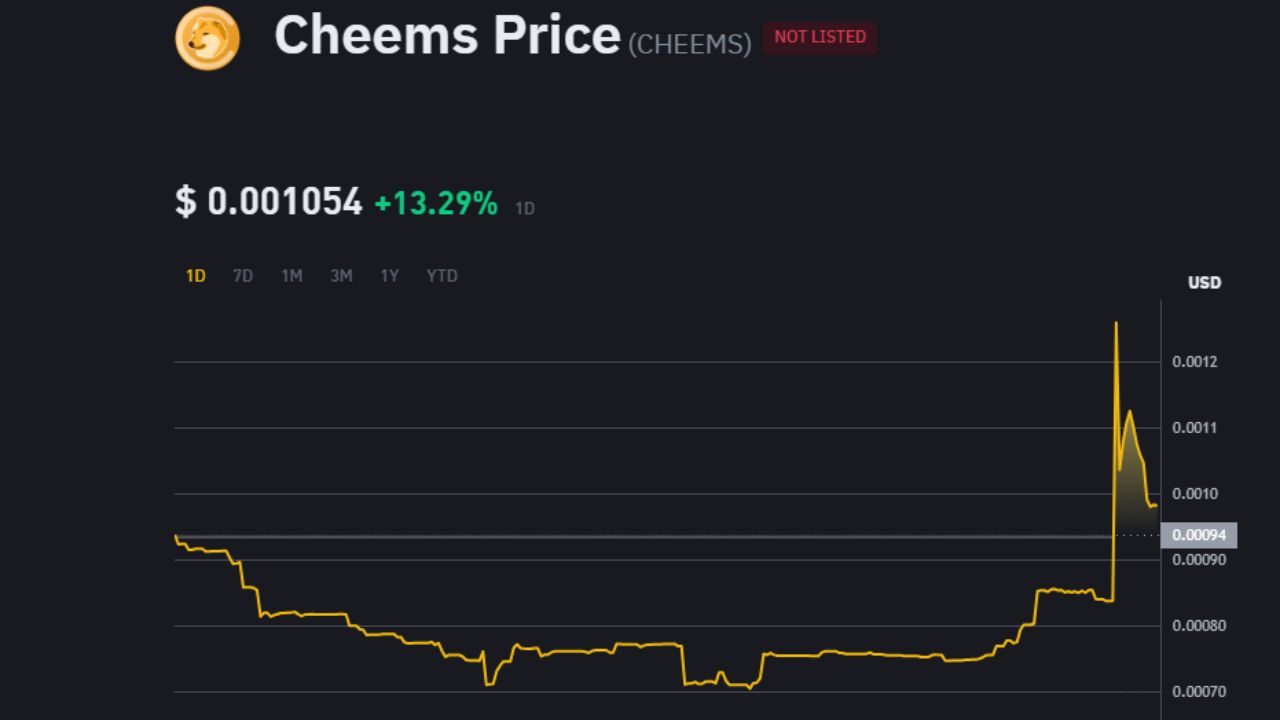 Binance Futures sẽ niêm yết memecoin $WHY và $CHEEMS trong ngày 25/11/2024!