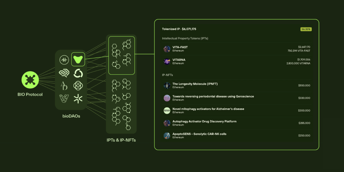 Mô hình hoạt động của BIO Protocol