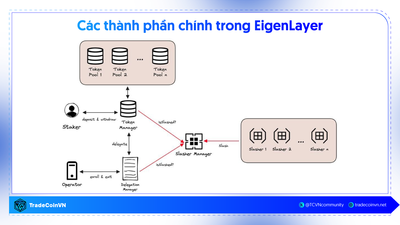 Các thành phần chính trong EigenLayer