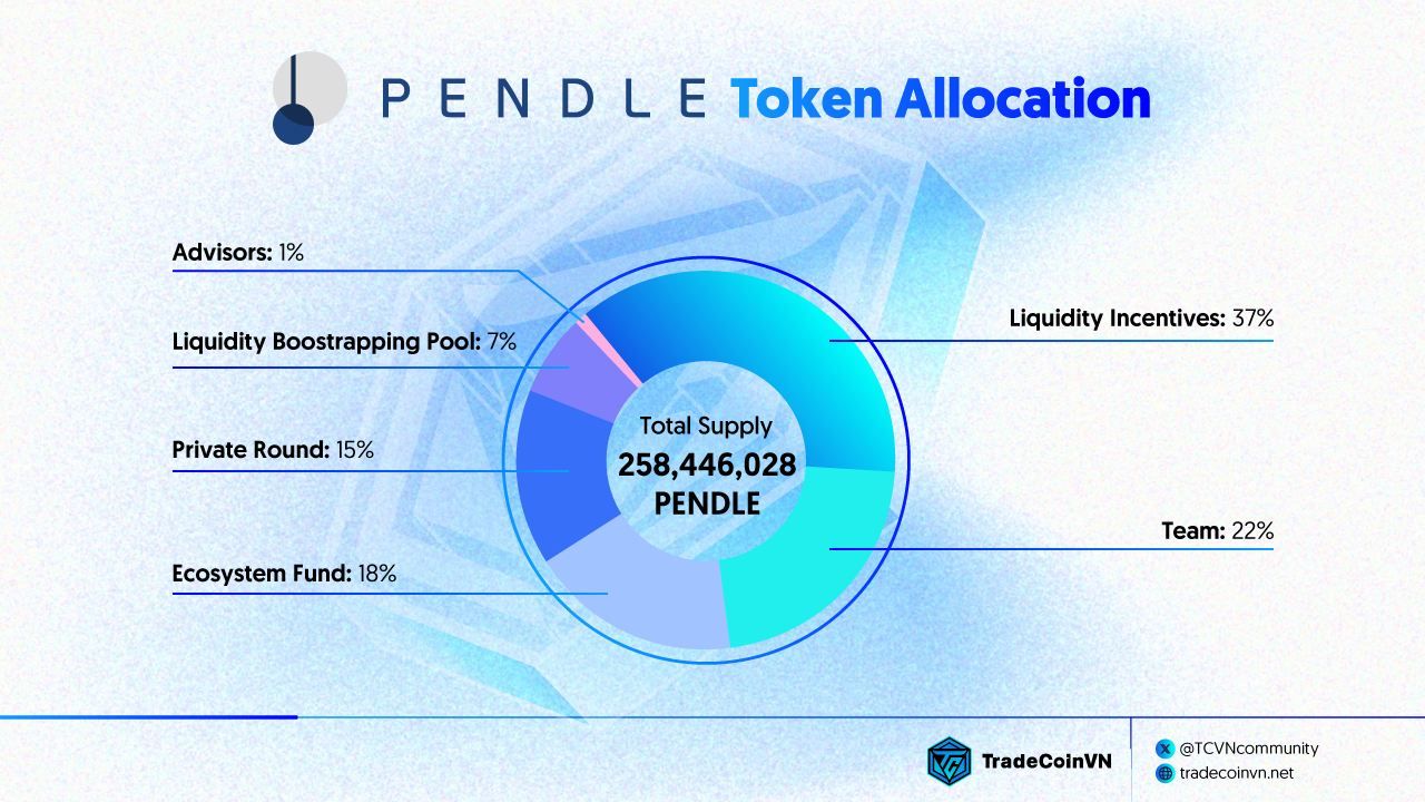 Biểu đồ phân bổ token PENDLE