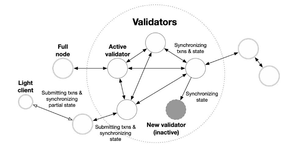 Mô hình các Validator bên trong AptosBFT