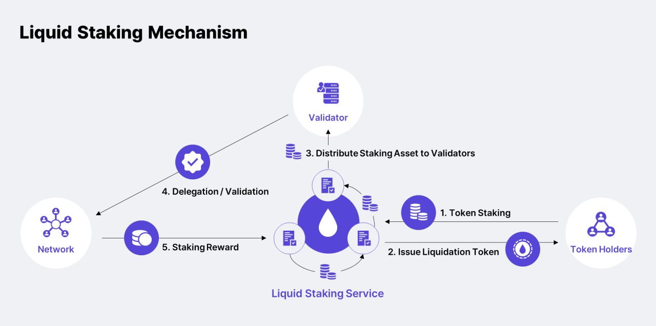 Mô hình hoạt động của Liquid Staking