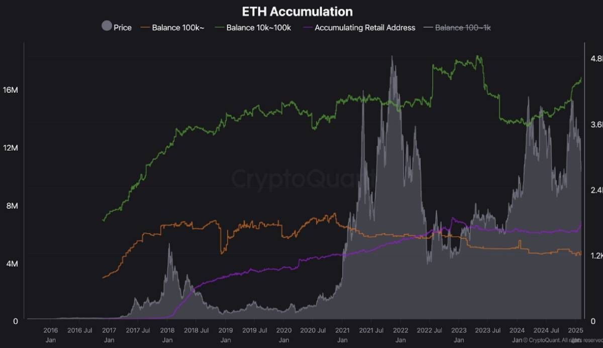 Các cá voi tích lũy Ethereum kỷ lục với inflow lên tới 883 triệu USD