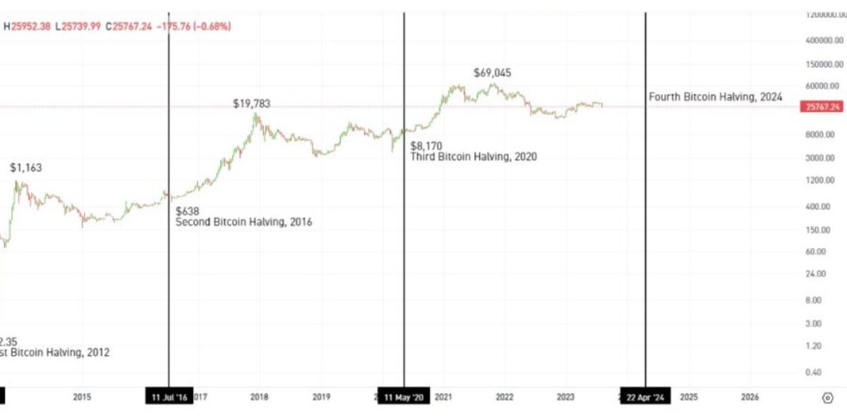 Tính chu kỳ của Bitcoin sau halving