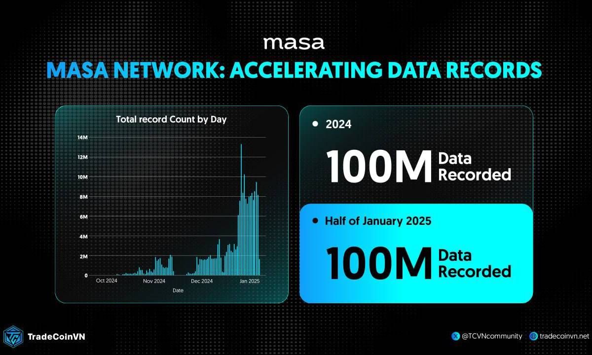 Thống kê dữ liệu của Masa trong tháng 1/2025