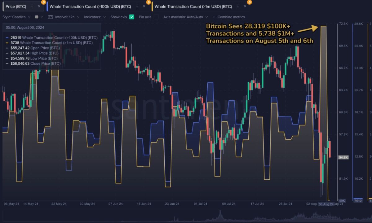 Giao dịch cá voi Bitcoin đạt mức ATH khi thị trường điều chỉnh