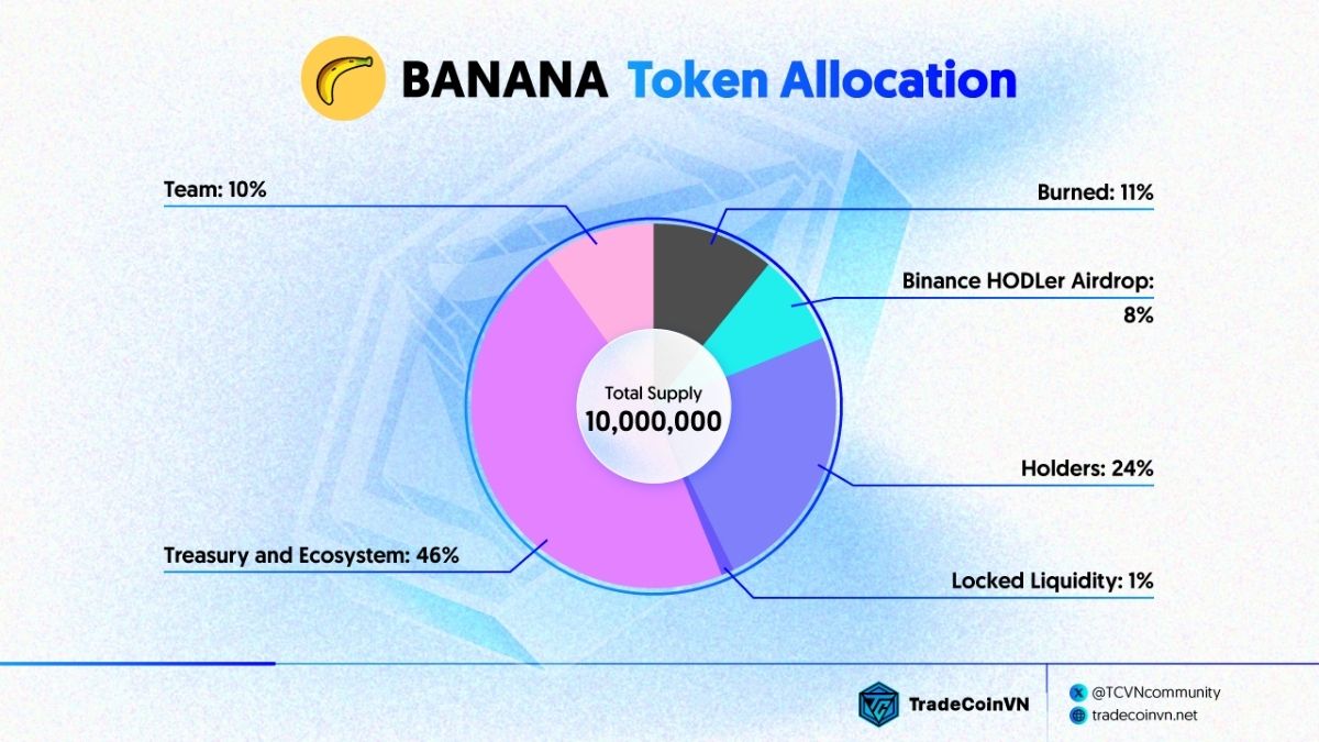 BANANA Token Allocation