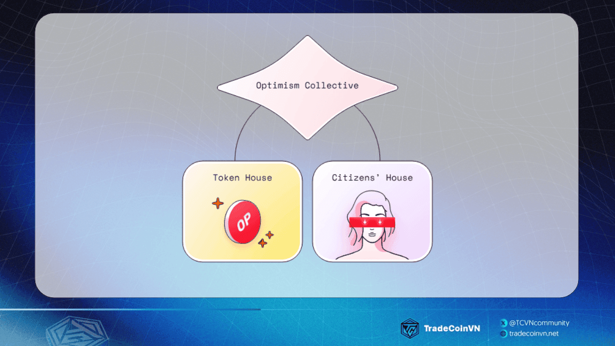 Mô hình quản trị của Optimism Collective