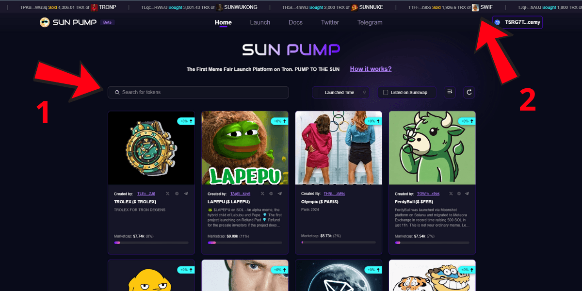 Chọn memecoin muốn giao dịch trên SunPump