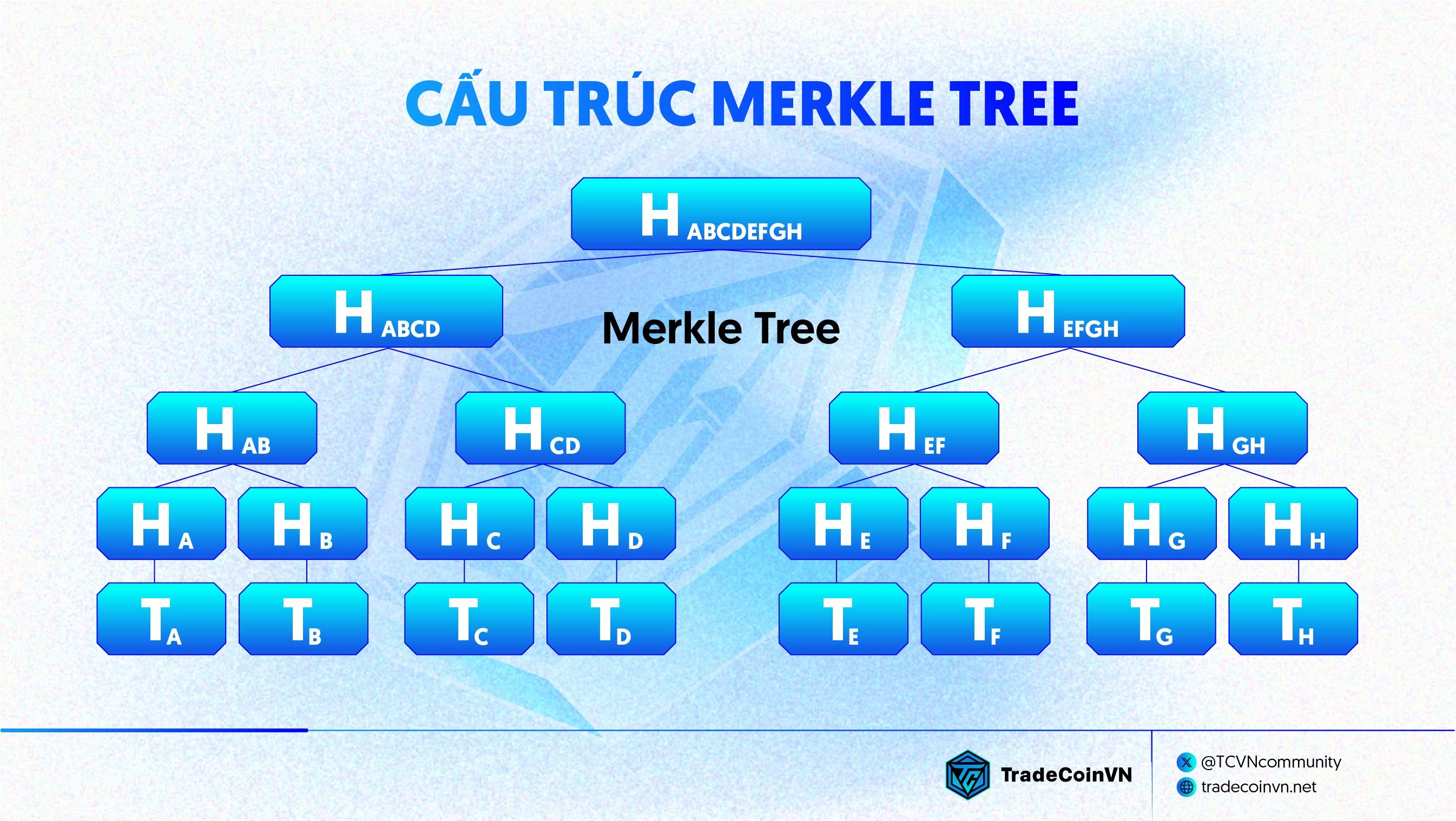 Cấu trúc Merkle Tree