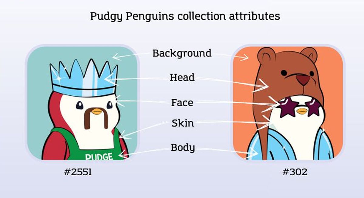 Các đặc điểm cấu tạo nên Pudgy Penguins