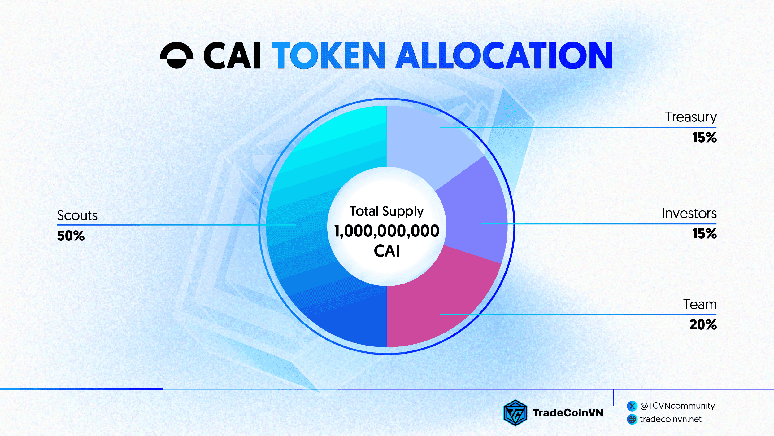 CAI Token Allocation