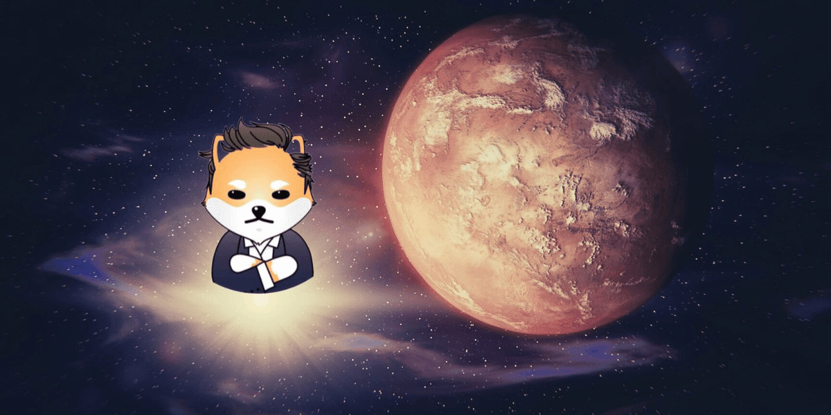 Dogelon Mars (ELON) - memecoin đại diện cho tỷ phú Elon Musk