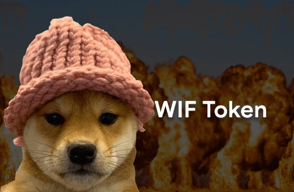 WIF là memecoin top 1 trên hệ sinh thái Solana