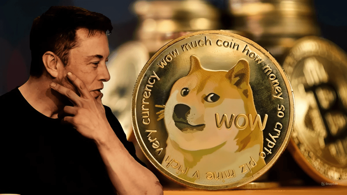 Elon Musk là một fan đích thực của DOGE