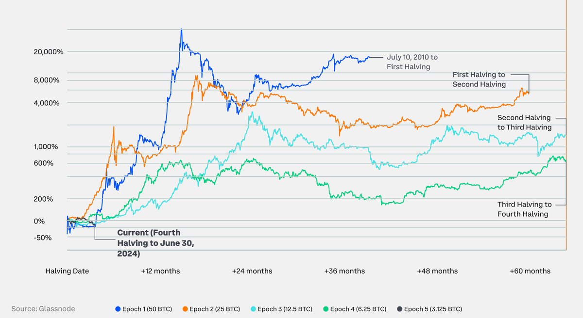 Biểu đồ hiệu suất của BTC sau mỗi lần Halving (Nguồn: Glassnode)