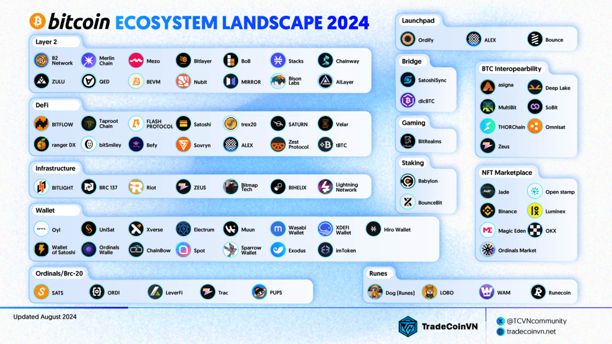 Bitcoin ecosystem landscape 2024