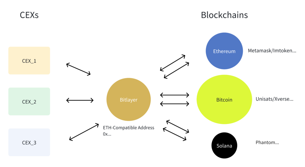 Bridge rất quan trọng đối với Bitlayer