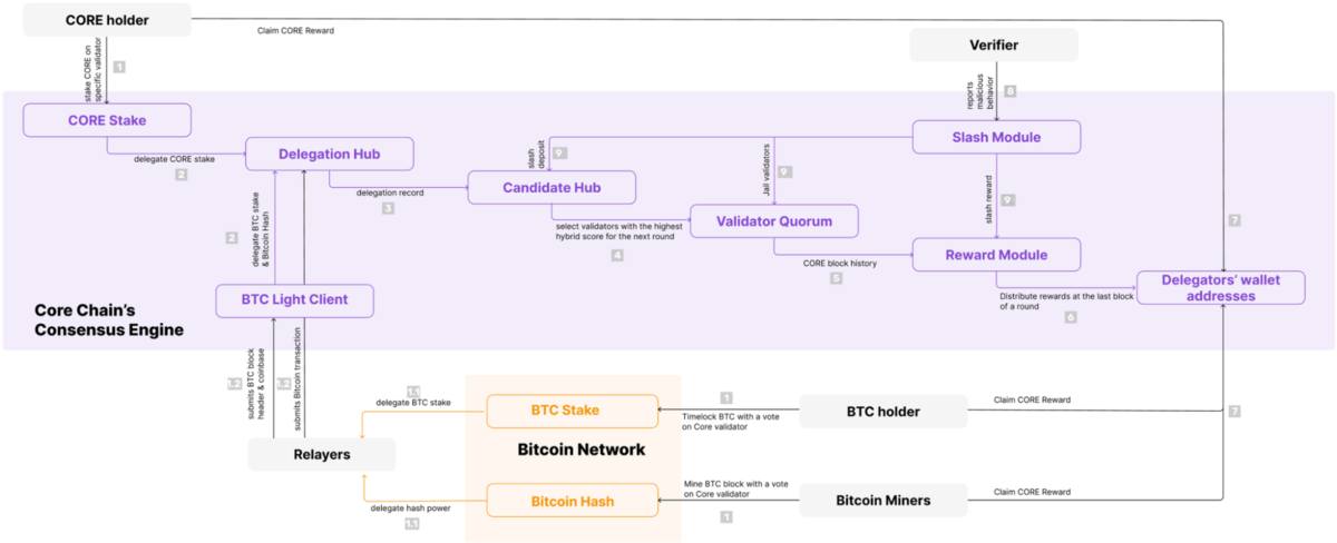 Có nhiều thành phần tham gia mô hình hoạt động của Core Chain